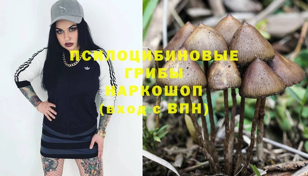 мдпв Волоколамск