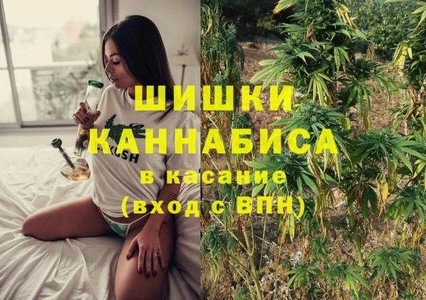стафф Волосово